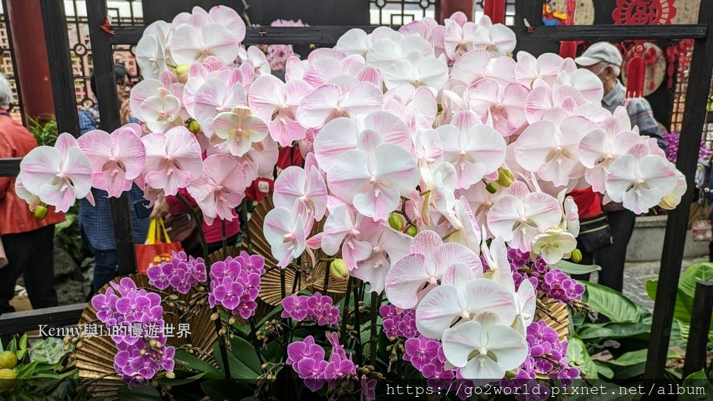 [台北景點] 2024士林官邸鬱金香展-香鬱祈福 14萬