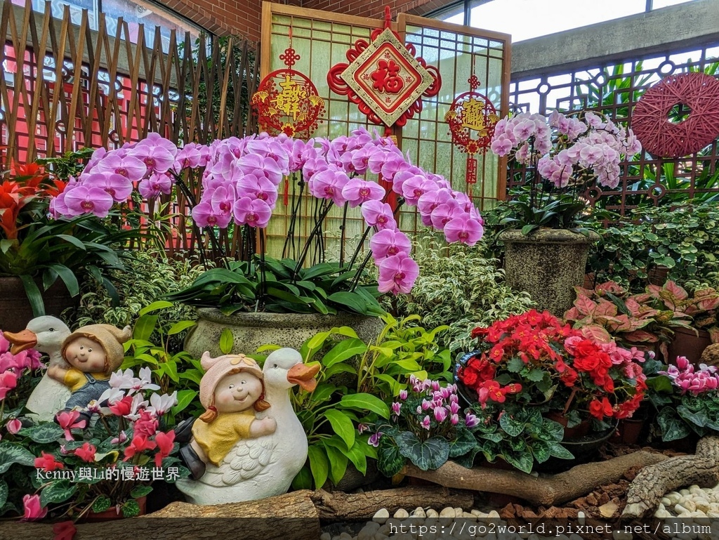 [台北景點] 2024士林官邸鬱金香展-香鬱祈福 14萬