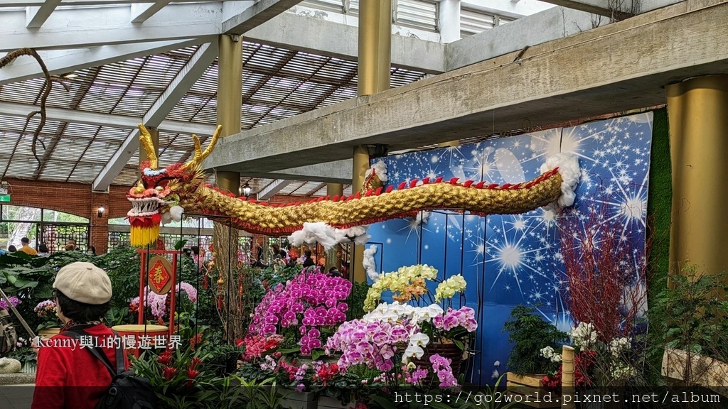 [台北景點] 2024士林官邸鬱金香展-香鬱祈福 14萬