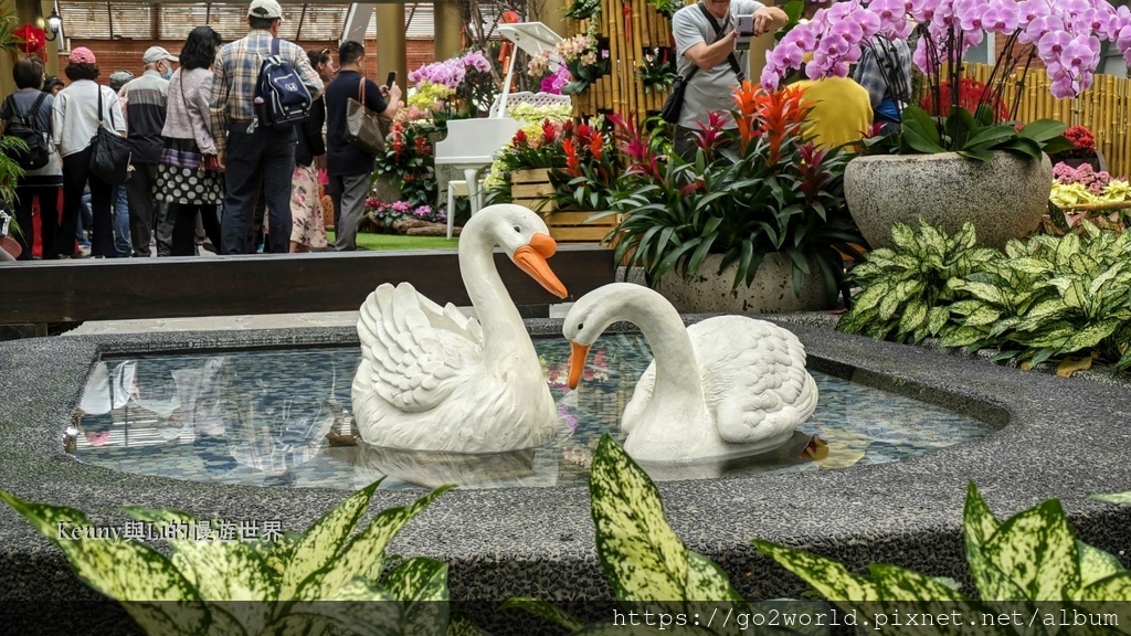 [台北景點] 2024士林官邸鬱金香展-香鬱祈福 14萬