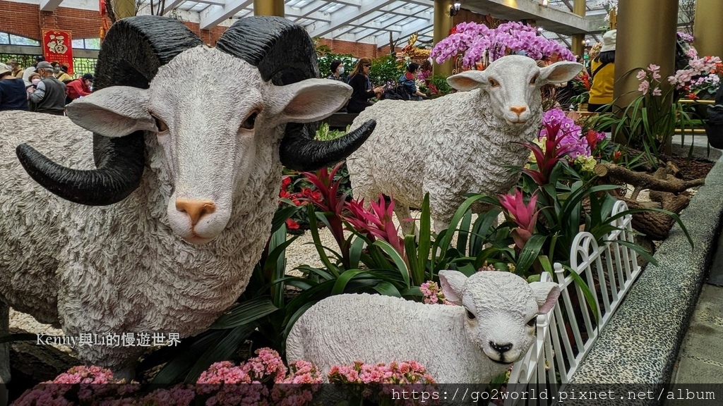 [台北景點] 2024士林官邸鬱金香展-香鬱祈福 14萬