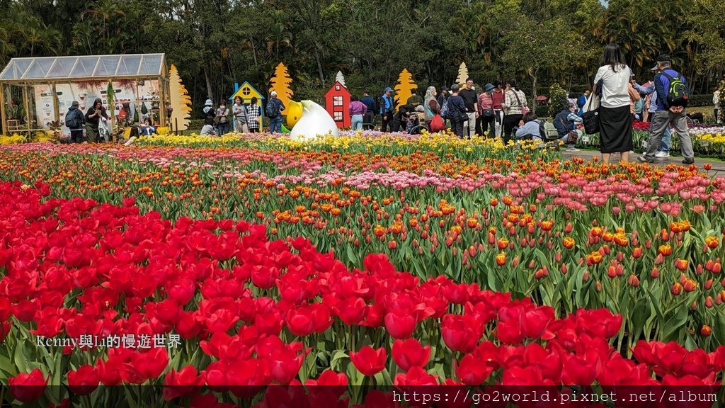 [台北景點] 2024士林官邸鬱金香展-香鬱祈福 14萬