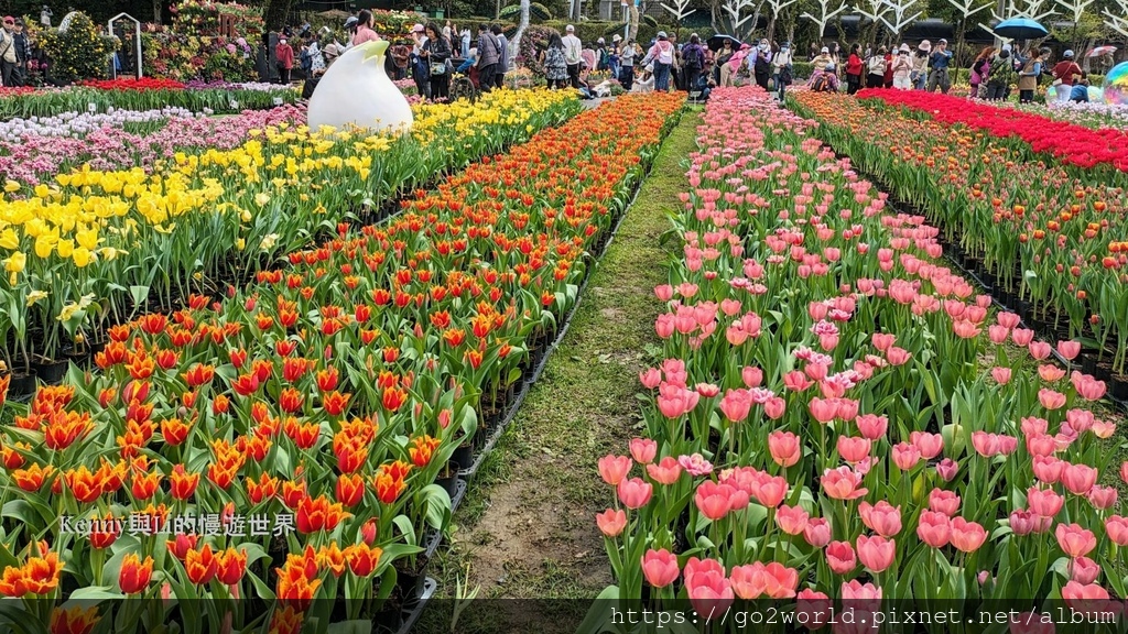 [台北景點] 2024士林官邸鬱金香展-香鬱祈福 14萬