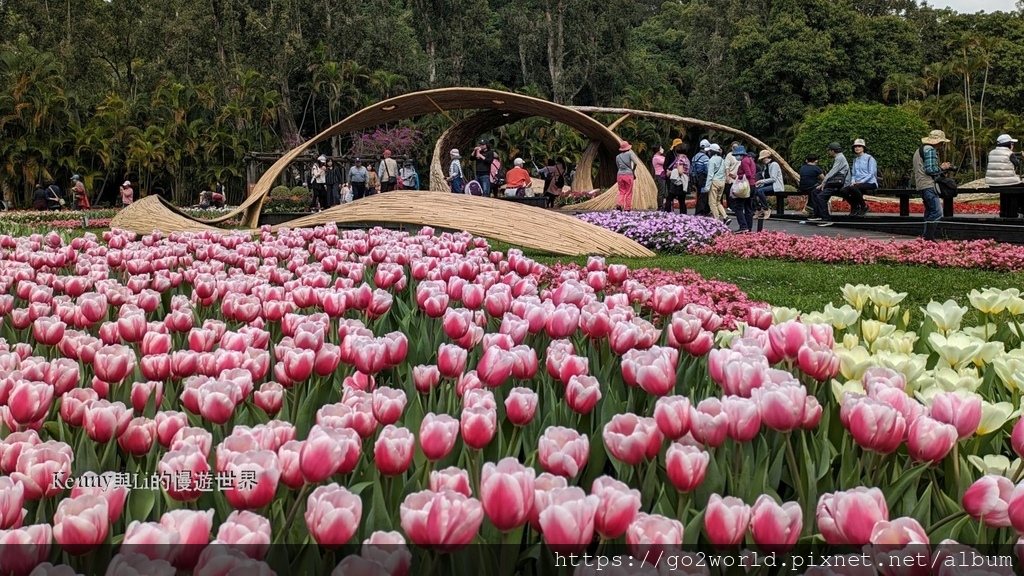 [台北景點] 2024士林官邸鬱金香展-香鬱祈福 14萬