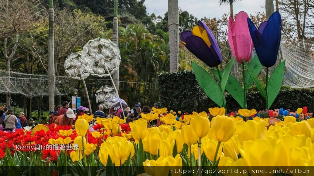 [台北景點] 2024士林官邸鬱金香展-香鬱祈福 14萬