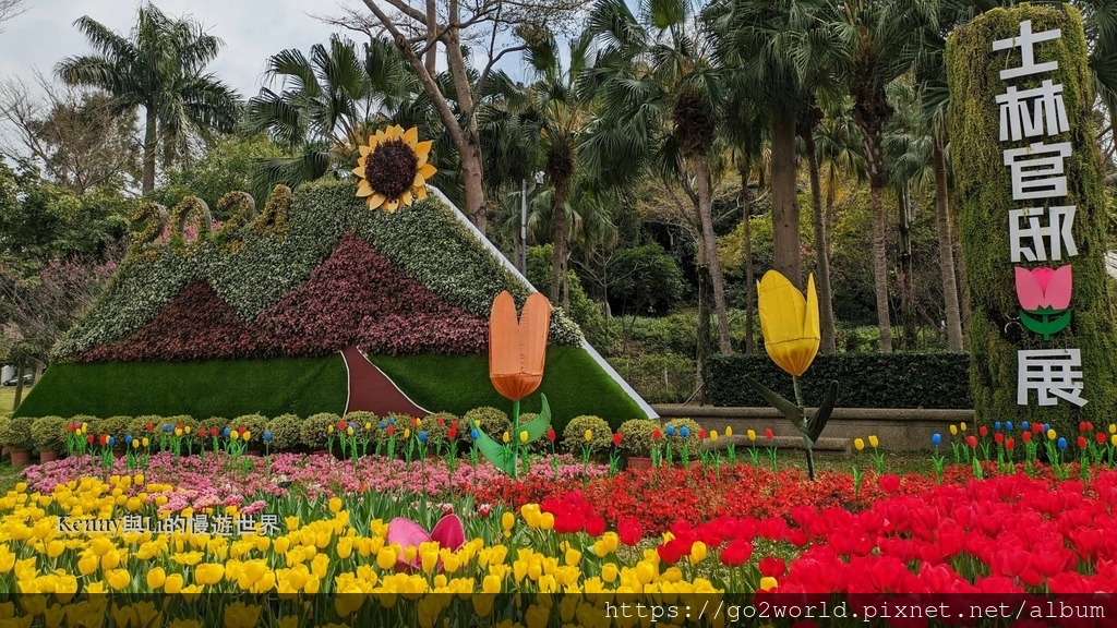 [台北景點] 2024士林官邸鬱金香展-香鬱祈福 14萬