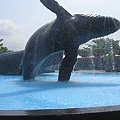 噴水鯨魚