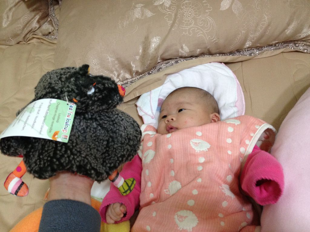 IMG_2815 IMG_2815
