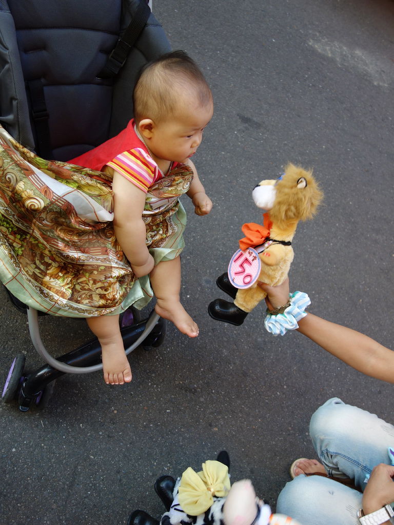DSC07929 DSC07929