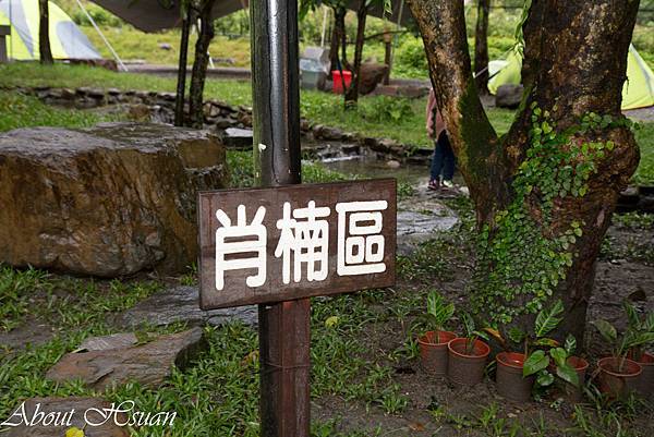 露營-22.JPG 露營-22.JPG