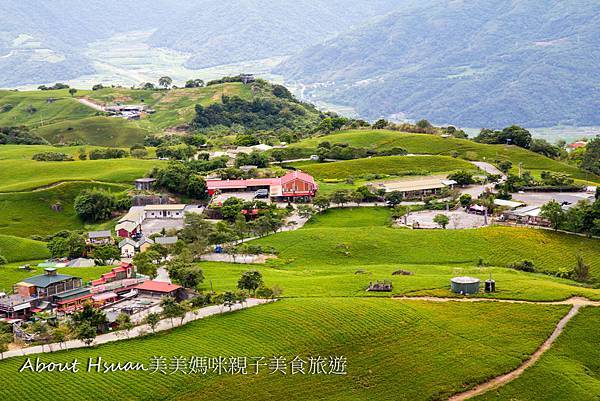 六十石山,金針花海,小瑞士觀景台,尚品休閒農園,釋迦冰淇淋,蝴蝶,花東縱谷國家風景區,花蓮,金針花,花海,拍照,打卡,季節限定,IG