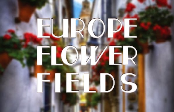 FlowerFields.jpg