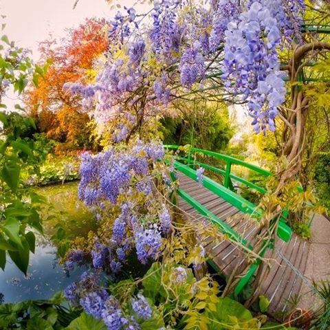 莫內花園 Jardins de Monet.jpg