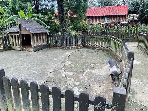 【新竹親子景點】北埔麥客田園┃焢窯、烤肉、客家體驗DIY通通