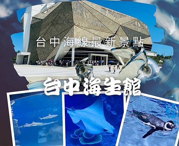 最新台中海線打卡熱點!【台中海生館】6大亮點、企鵝水母鯊魚打