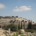 耶和華如此說：我現在回到錫安，要住在耶路撒冷中。耶路撒冷必稱為誠實的城，萬軍之耶和華的山必稱為聖山。