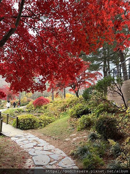 IMG_9691.JPG IMG_9691.JPG