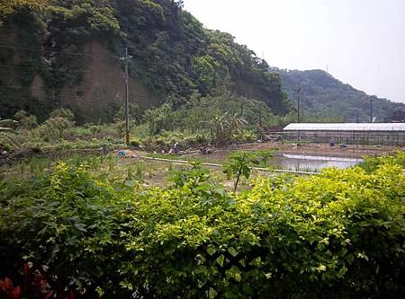 新竹6後花園 新竹6後花園