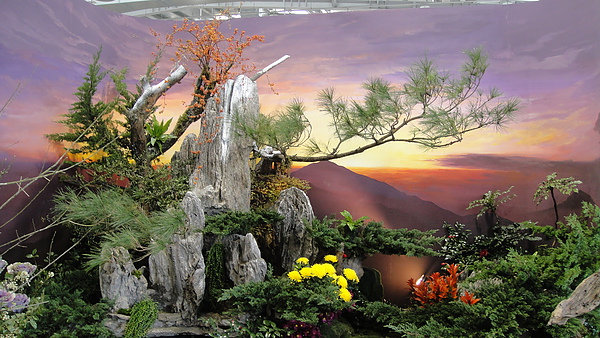 DSC02947.JPG