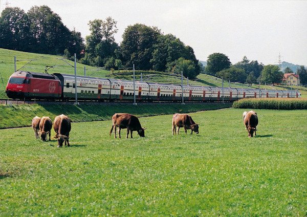 SBB009.jpg