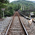 IMG_3024.JPG
