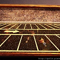 IMG_9274.jpg