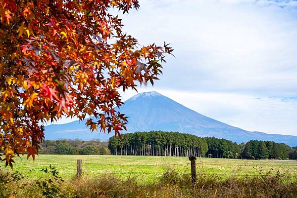 富士山 紅葉 銀杏 Go Fujisan 富士地區旅遊推廣評議會 痞客邦