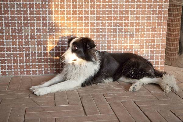 fe25bc90eb420d31474350a8ebd5f5fd_m.jpg fe25bc90eb420d31474350a8ebd5f5fd_m.jpg