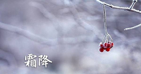 節氣養生 霜降