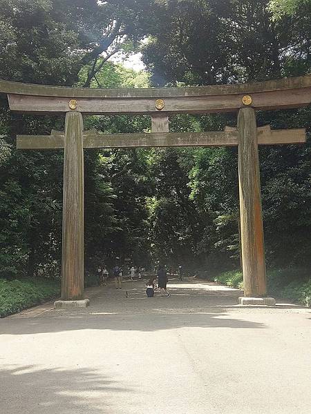 WhatsApp Image 2018-01-05 at 5.09.20 PM (2).jpeg WhatsApp Image 2018-01-05 at 5.09.20 PM (2).jpeg