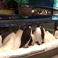 企鵝酒店早餐 (43).jpg