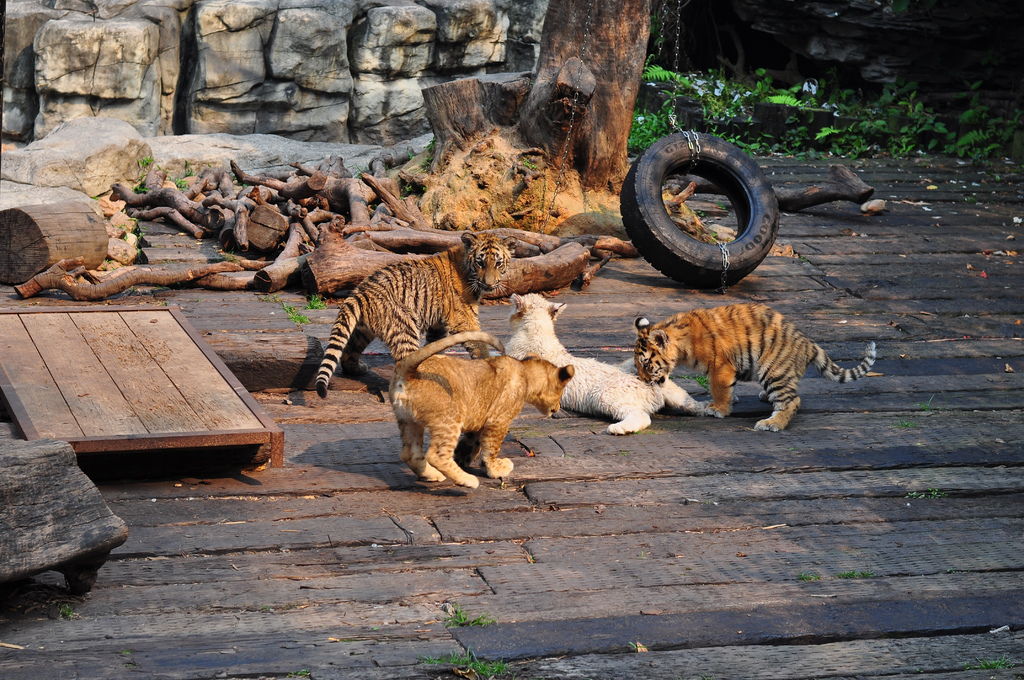 DSC_0377.JPG DSC_0377.JPG