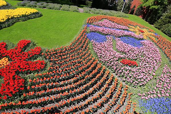 513 庫肯霍夫鬱金香花園_200214_0002.jpg