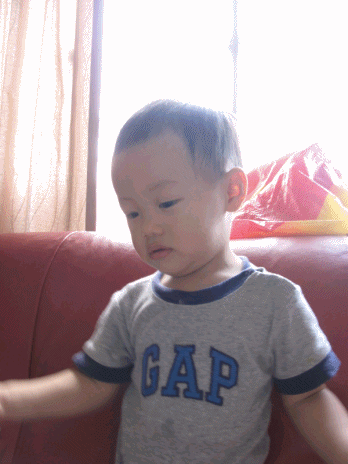 anigif3