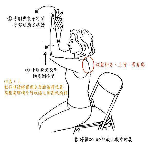女生重訓 不專業心得分享 圓背 烏龜脖的改善方式 歐巴桑少女心 Lulu 痞客邦