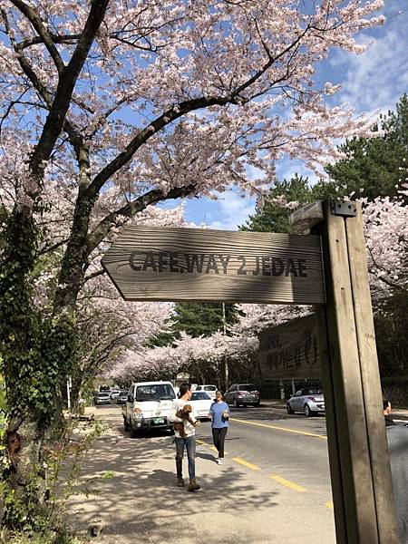 20180410_180410_0005.jpg 20180410_180410_0005.jpg