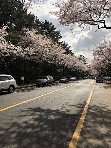 20180410_180410_0003.jpg 20180410_180410_0003.jpg