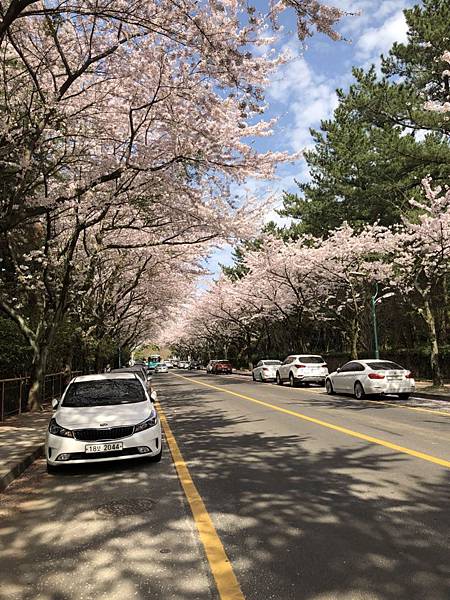 20180410_180410_0004.jpg 20180410_180410_0004.jpg