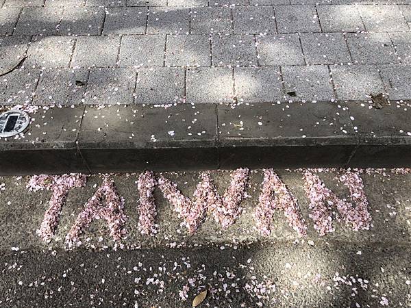 20180410_180410_0001.jpg 20180410_180410_0001.jpg