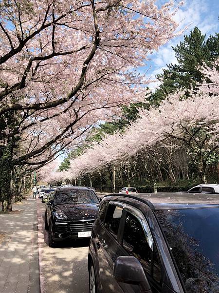 20180410_180410_0006.jpg 20180410_180410_0006.jpg