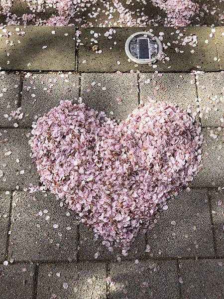 20180410_180410_0011.jpg 20180410_180410_0011.jpg