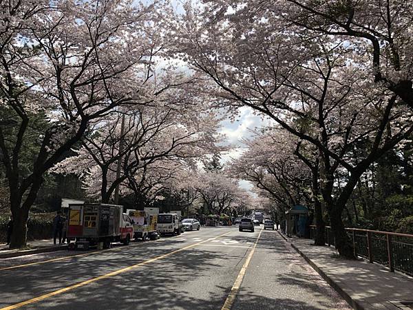 20180410_180410_0008.jpg 20180410_180410_0008.jpg