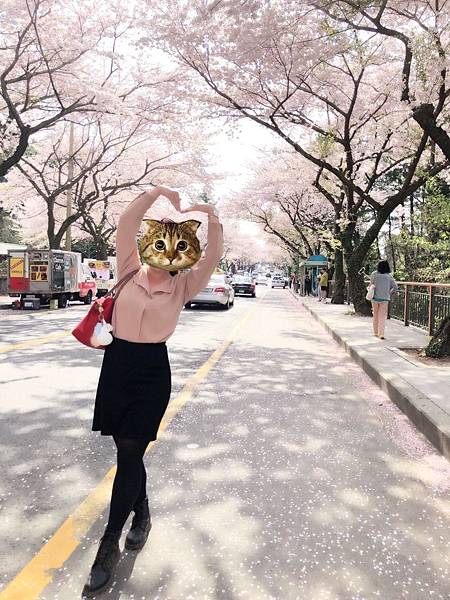 20180410_180410_0012.jpg 20180410_180410_0012.jpg