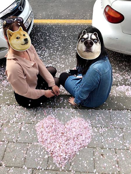 20180410_180410_0014.jpg 20180410_180410_0014.jpg