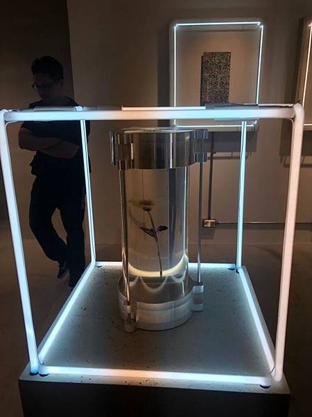 201984志龍展_190816_0033.jpg 201984志龍展_190816_0033.jpg