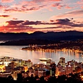 Wellington_1.jpg