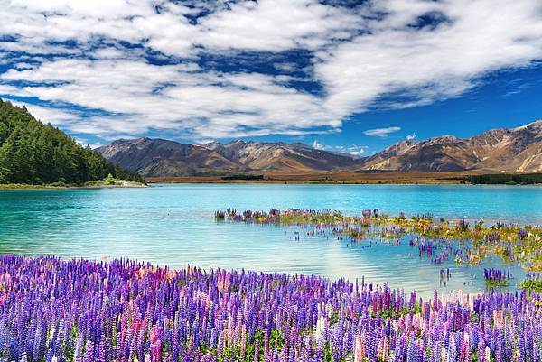 newzealand_1.jpg newzealand_1.jpg