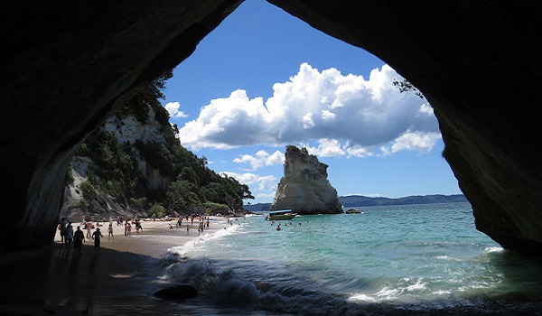 auckland_4.jpg auckland_4.jpg