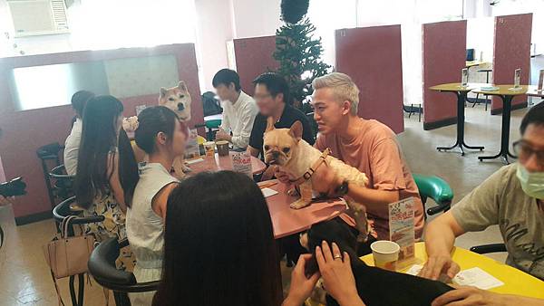 寵物03臉打胡.jpg 寵物03臉打胡.jpg