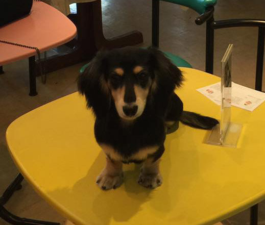 特寫03a.jpg 特寫03a.jpg